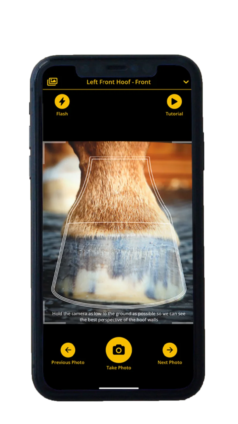 Guided Hoof Sizer App