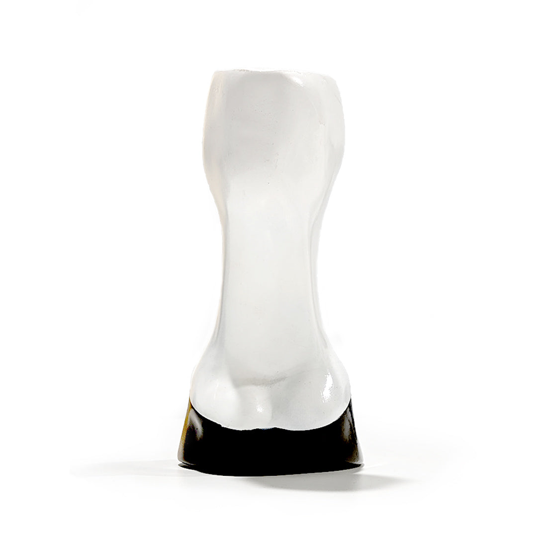 Hoof Model