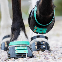 Pastern Straps