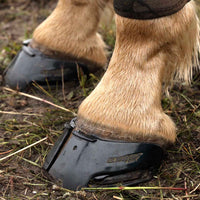 Scootboot Skin