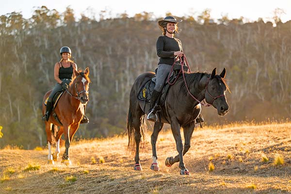 Riders with their horses