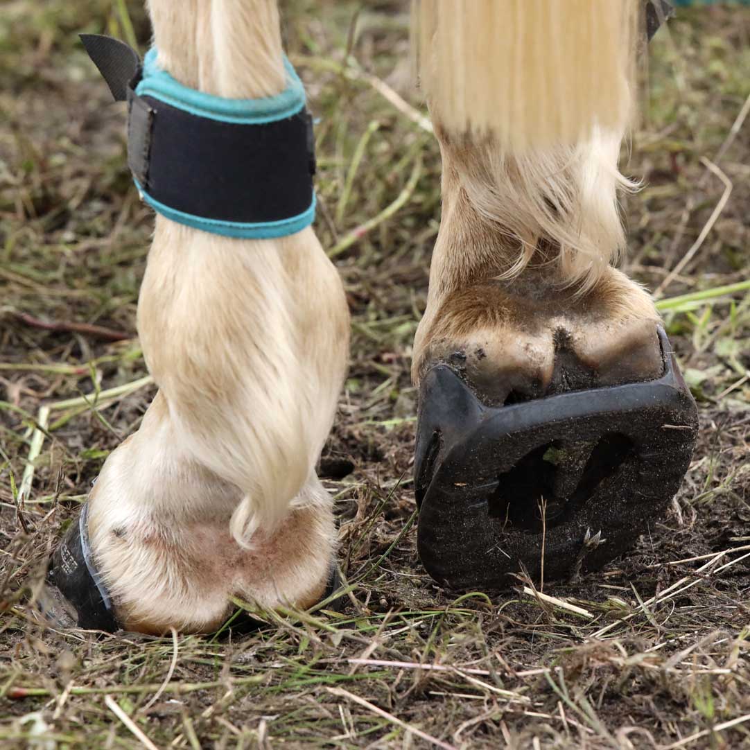 Scootboot Skin