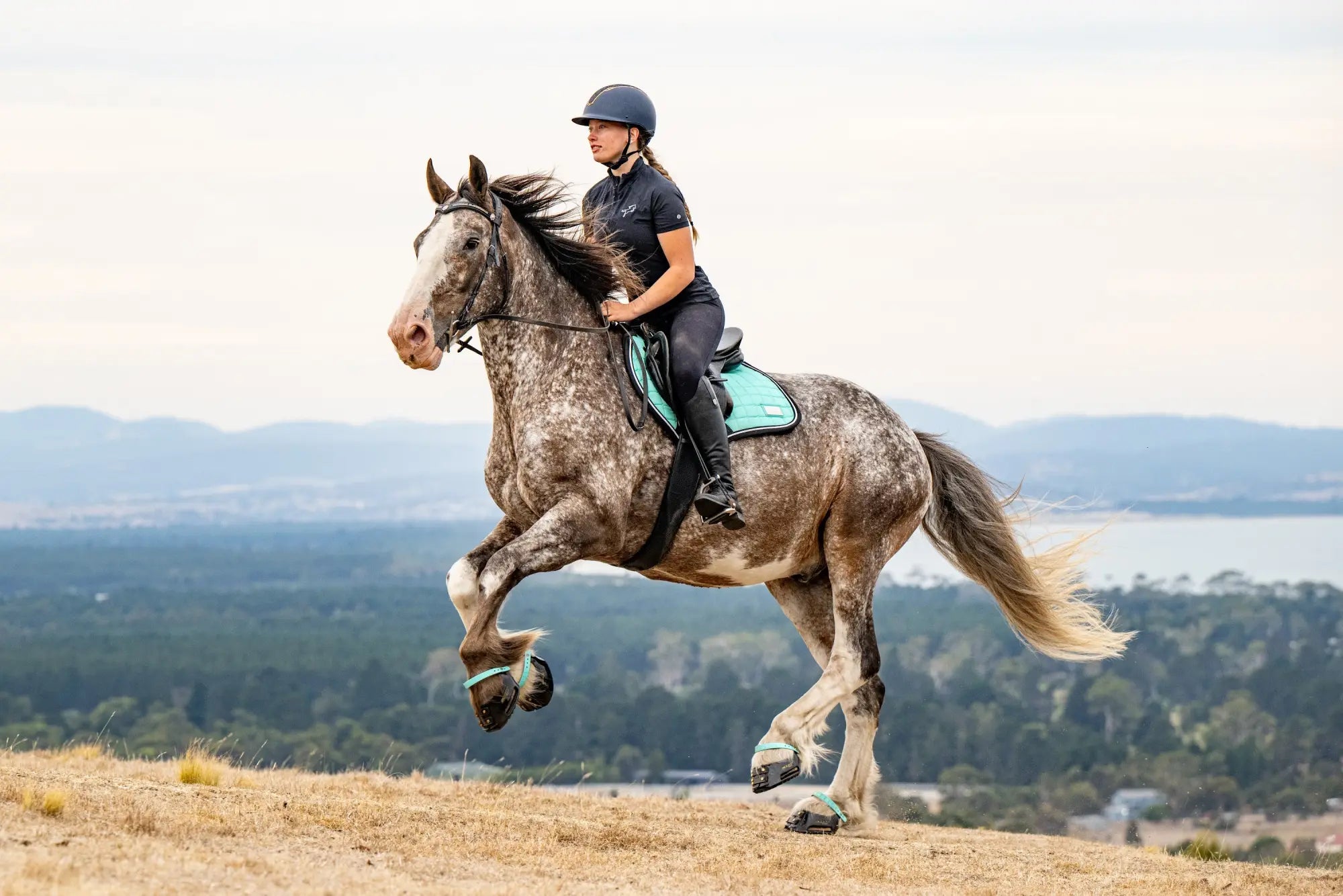 Rider on a horse wearing Scoot Boots